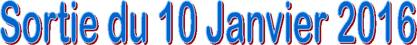 Sortie du 10 Janvier 2016