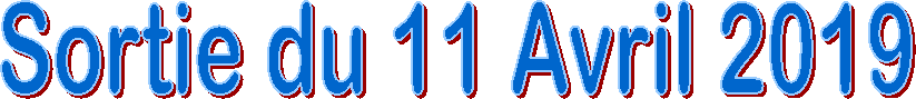 Sortie du 11 Avril 2019