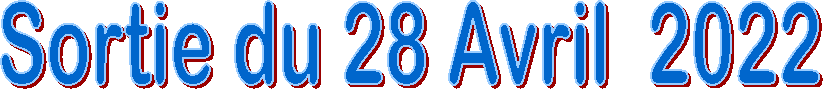 Sortie du 28 Avril  2022