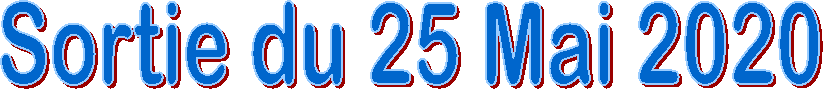 Sortie du 25 Mai 2020