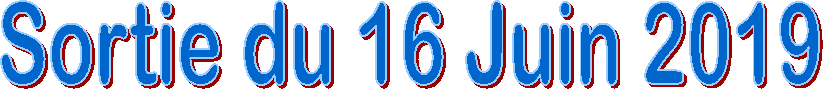 Sortie du 16 Juin 2019