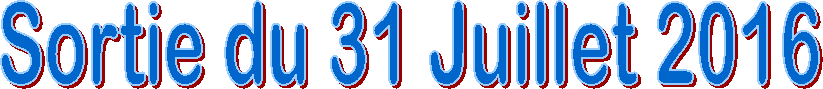 Sortie du 31 Juillet 2016