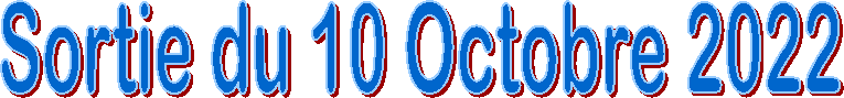 Sortie du 10 Octobre 2022