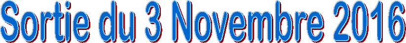 Sortie du 3 Novembre 2016