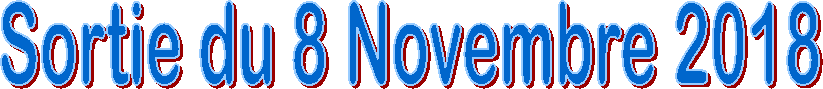 Sortie du 8 Novembre 2018